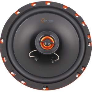 Conchord C 62